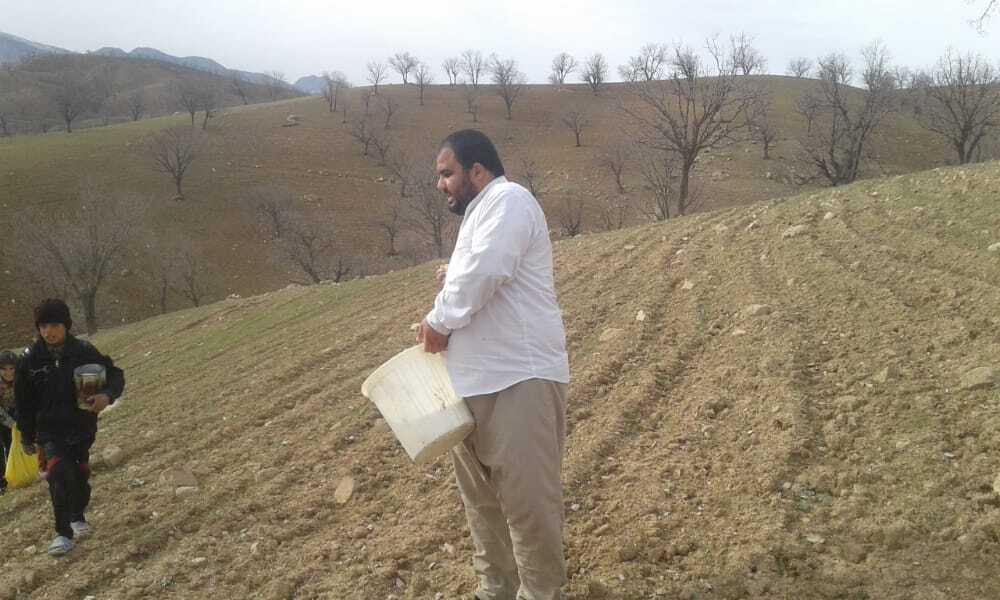 زمین های کشاورزی روستای «دره وار» جان تازه گرفتند