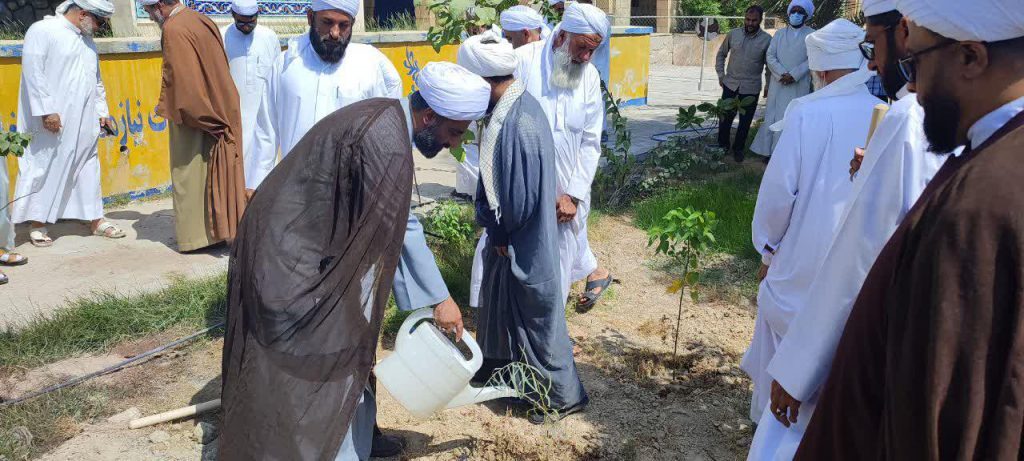 کاشت نهال وحدت در شهرستان بندرلنگه