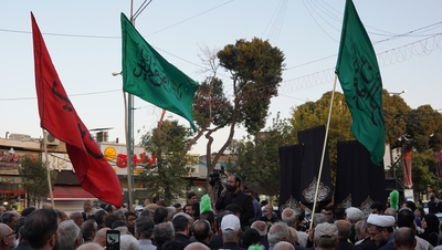 کاروان عزاداران امام رضا (ع)