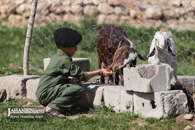 خدمت رسانی به عشایر مناطق محروم شهرستان کوهرنگ