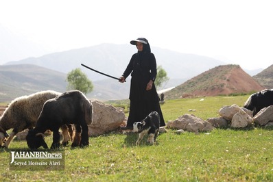 خدمت رسانی به عشایر مناطق محروم شهرستان کوهرنگ