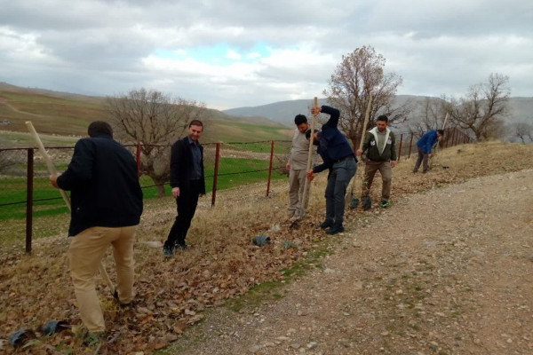 پویش کاشت نهال ویژه سفیران قرآنی نهضت زندگی با آیه ها در شهرستان بدره