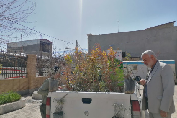 پویش کاشت نهال ویژه سفیران قرآنی نهضت زندگی با آیه ها در شهرستان بدره