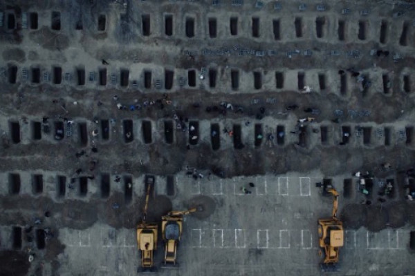 شباهت عجیب به یک خوک آمریکایی