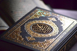 ۷ حافظ استان در طرح تشویقی حفظ عمومی برگزیده شدند