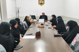 شورای راهبری و هم آهنگی بانوان شهرستان گناوه  تشکیل شد